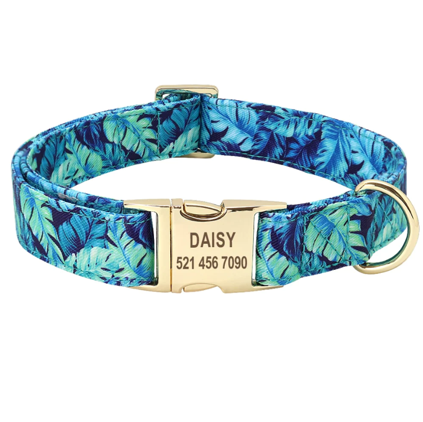 Ensemble Dognity collier et laisse personnalisable imprimé floral