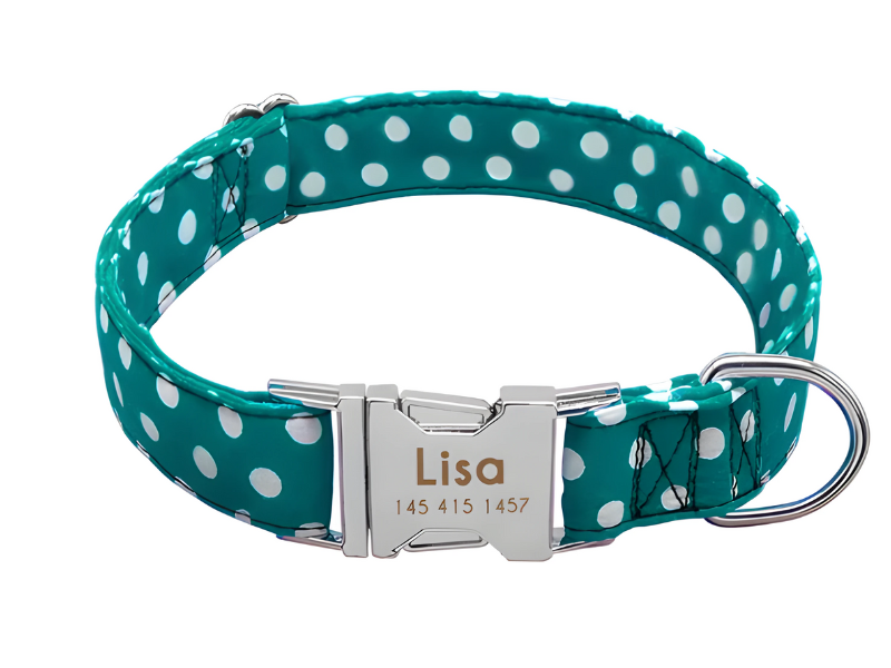 Collier personnalisable pour petit et moyen chien