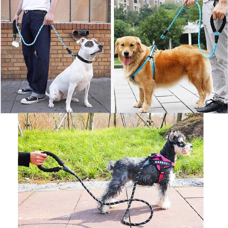 Laisse pour chien de compagnie, robuste, réfléchissante,