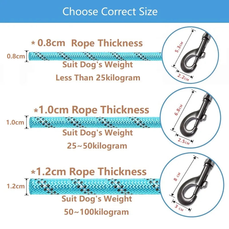 Laisse pour chien de compagnie, robuste, réfléchissante,