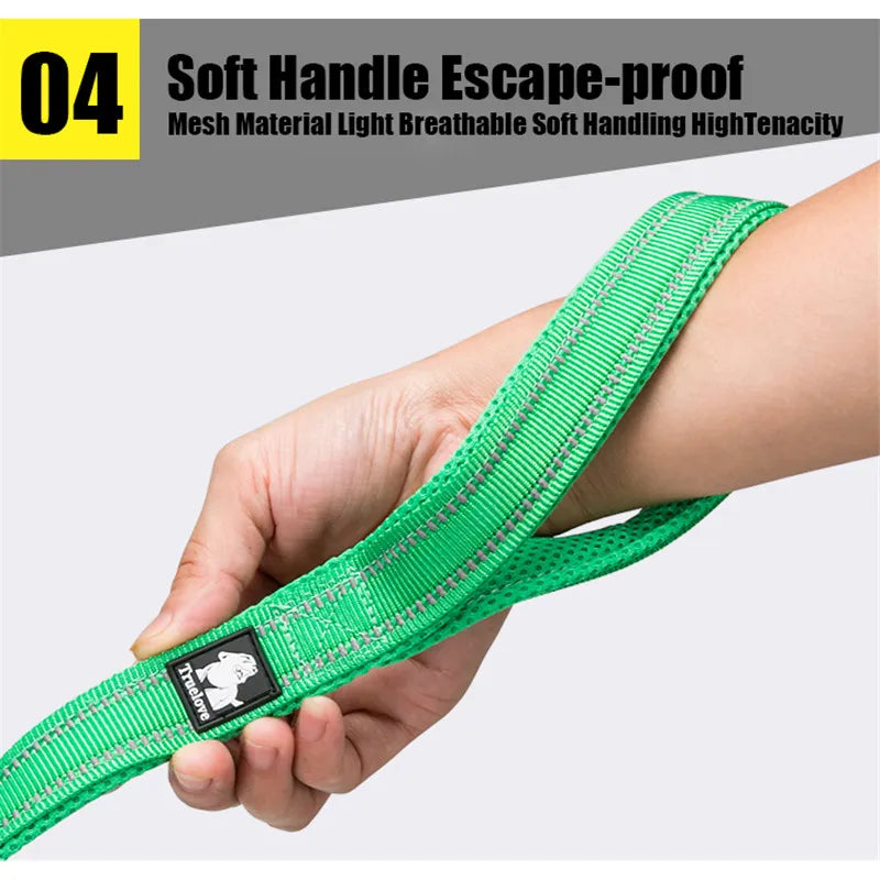 Laisse souple en maille nylon