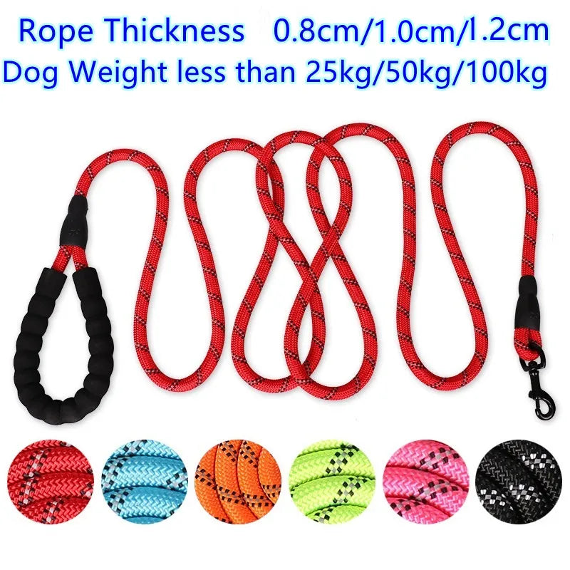 Laisse pour chien de compagnie, robuste, réfléchissante,