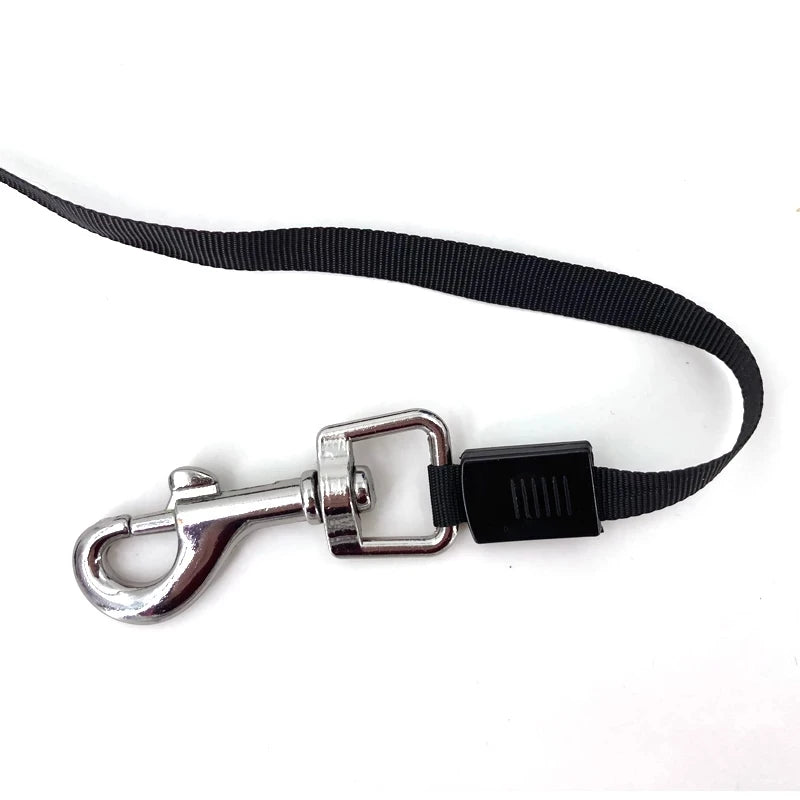 Laisse Dognity Flexi Color rétractable