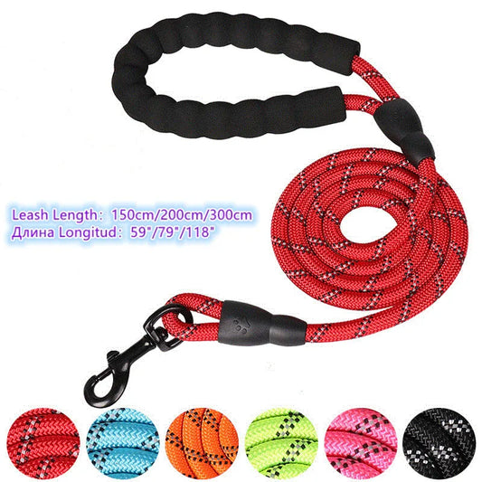 Laisse pour chien de compagnie, robuste, réfléchissante,