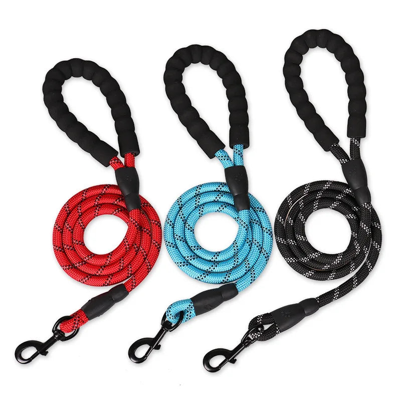 Laisse pour chien de compagnie, robuste, réfléchissante,