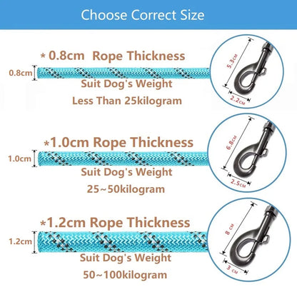 Laisse pour chien de compagnie, robuste, réfléchissante,