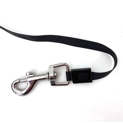 Laisse Dognity Flexi Color rétractable